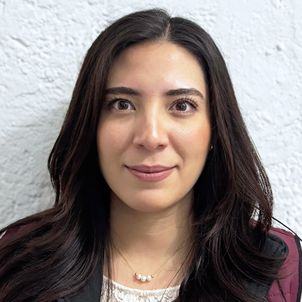 Secretaria Técnica