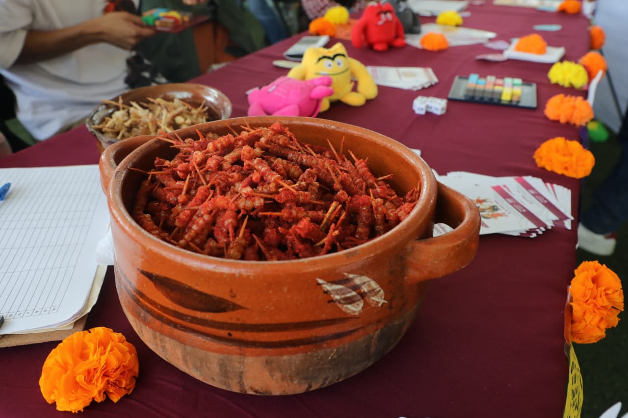 Tlalnepantla Dia Mundial Alimentacion 14