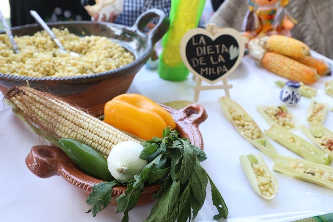 Tlalnepantla Dia Mundial Alimentacion 16