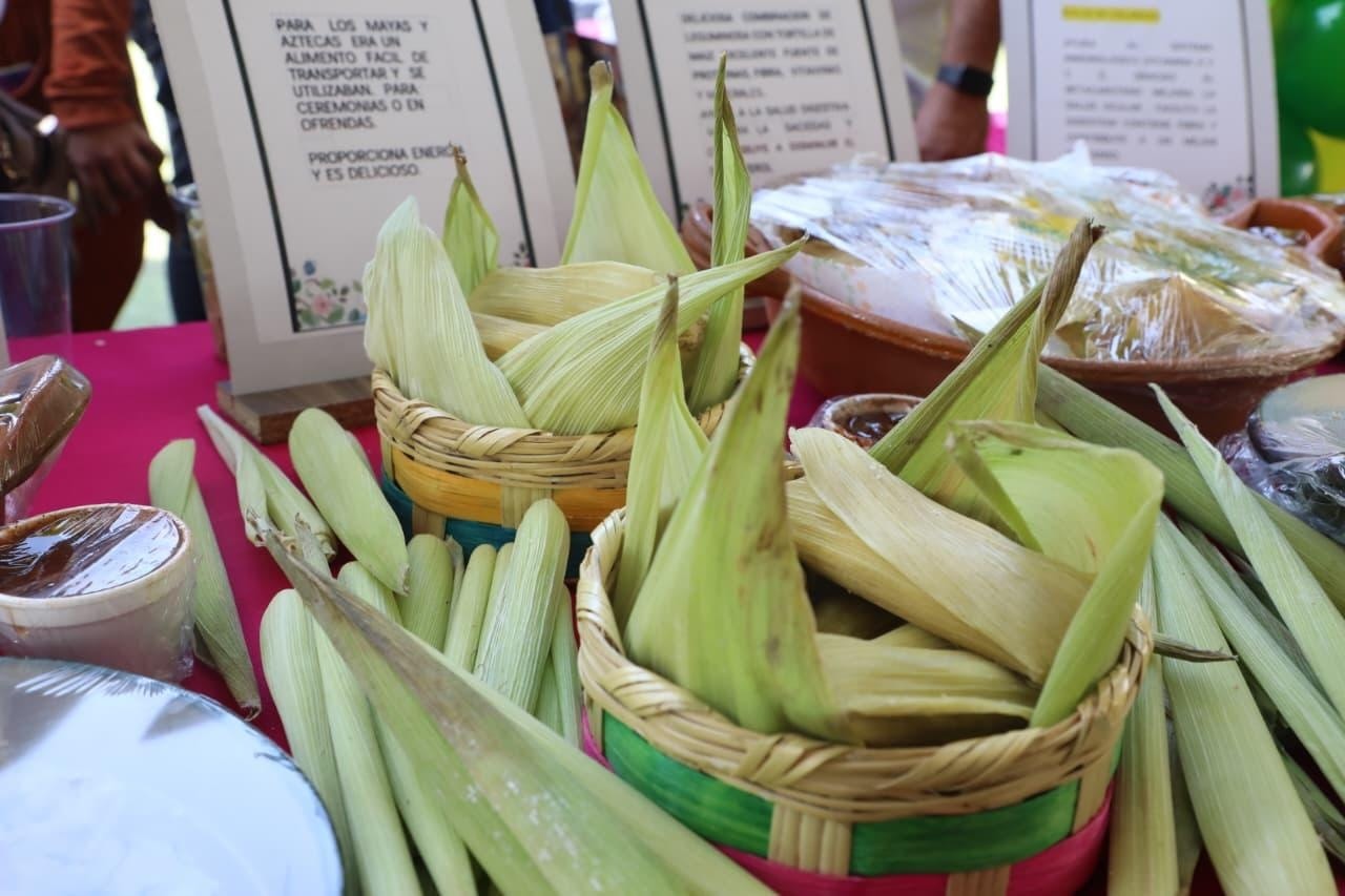 Tlalnepantla Dia Mundial Alimentacion 4